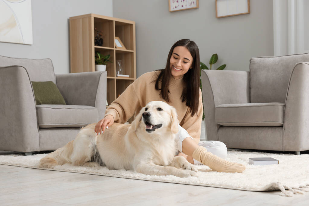 快乐的女人和可爱的拉布拉多猎犬在家里的地板上。可爱的宠物图片