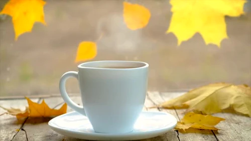 一杯茶放在潮湿的秋天的窗户上.有选择的重点。喝的.图片
