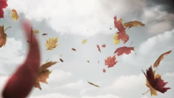 枫叶在云彩的映衬下在空中飘扬.秋季和秋季季节概念图片