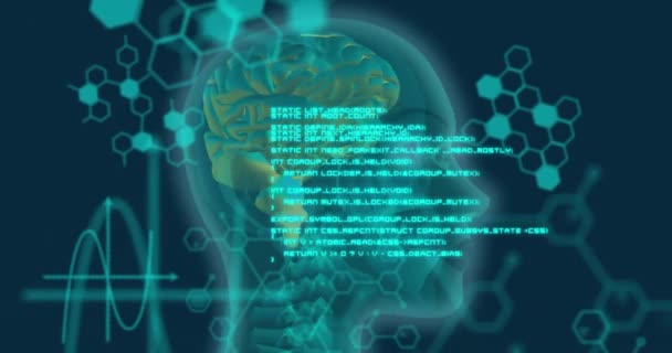 在蓝色背景下，在旋转的人头上进行医学数据处理动画。医学研究和科学技术概念图片
