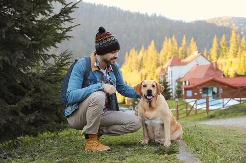 快乐的男人和可爱的狗坐在高山绿草上.带着宠物旅行图片