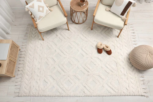 风格别致的客厅,上面有柔软的白色地毯和家具.室内设计图片