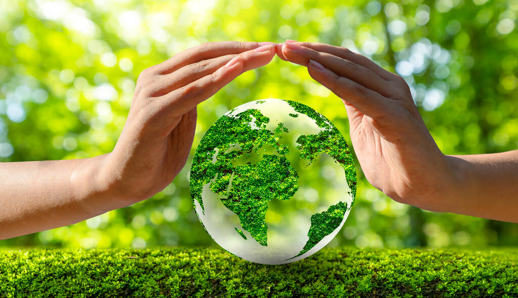 环境地球日在生长着幼苗的树木手中。Bokeh green Background Female hand holding tree on nature field grass Forest conservation concept