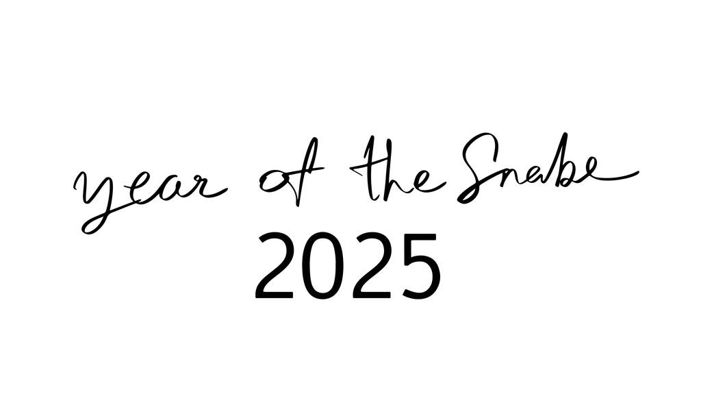 蛇年2025年黑色彩旗标志装饰中国新年传统好运文本字体书法长寿红包蛇舞文化宗教庆祝艺术