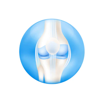 腿膝关节软骨人体骨骼解剖内蓝色球体。在用于设计产品补充剂的白色背景上分离。医学概念。3D矢量.图片