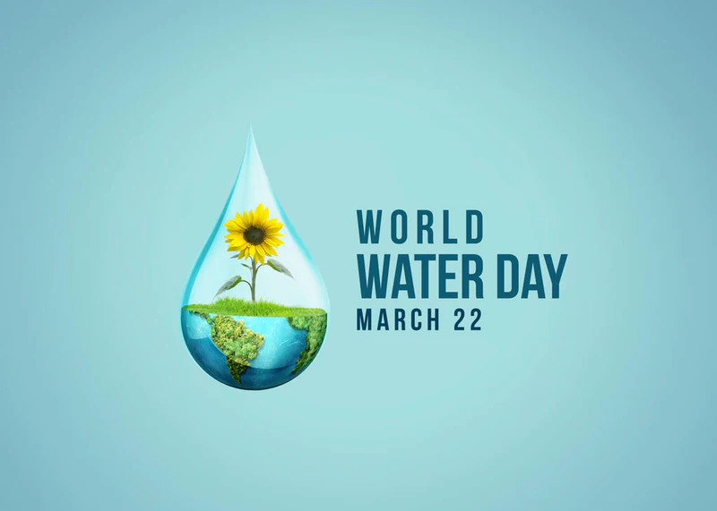 世界水日概念。每一滴都很重要节约用水与世界环境保护概念- -环境日